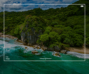 EGEDA Opens Call for Fifth Edition of PLATINO NEXT GEN to Empower the Next Generation of Ibero-American Film Producers