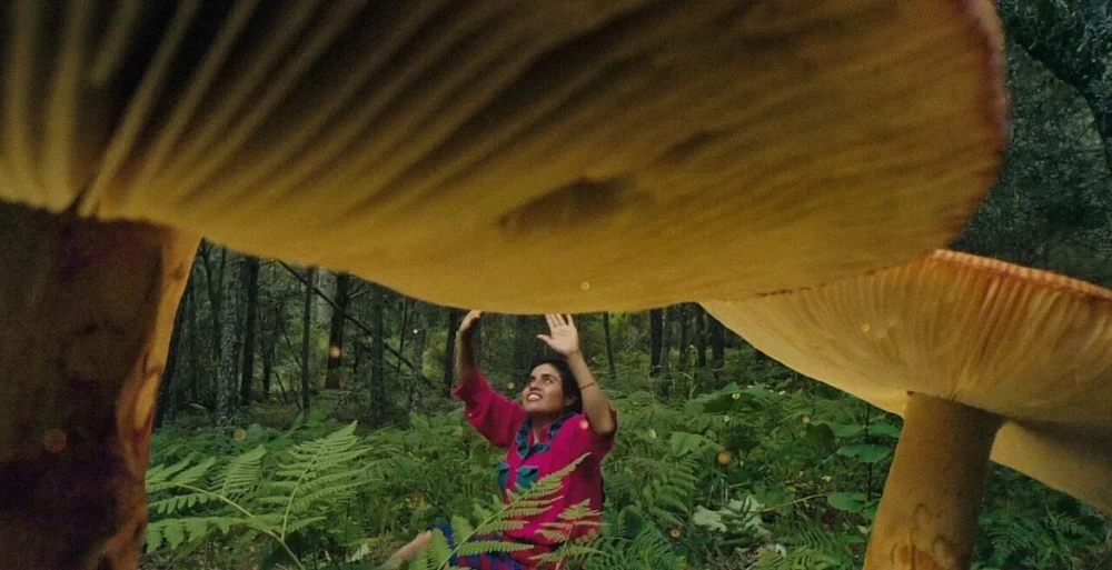 Latin American Cinema Takes Center Stage at CPH DOX and ParisDOC with Diverse Documentary Narratives