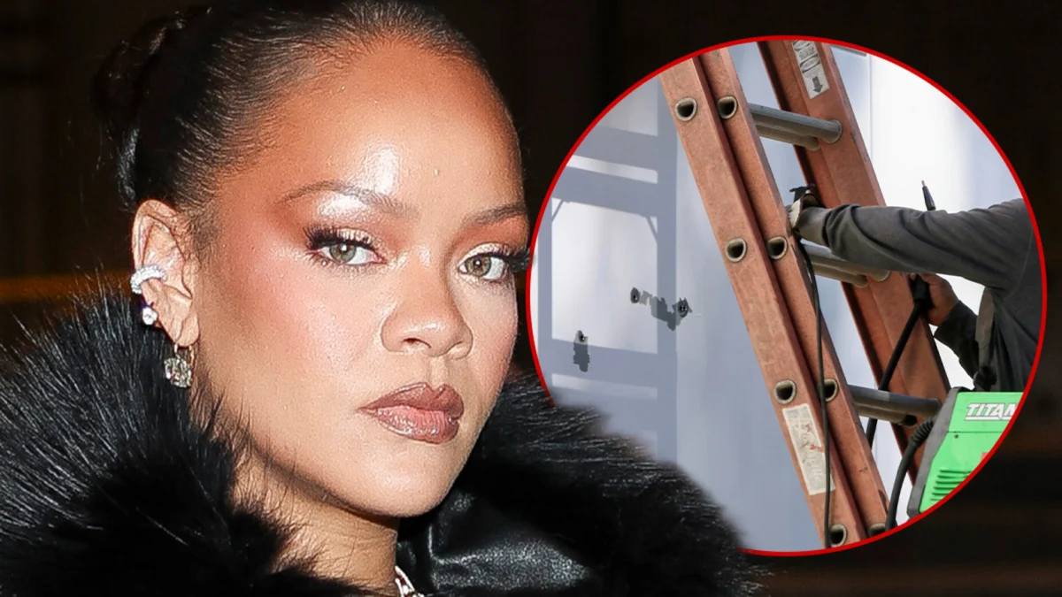 Rihanna’s Alleged House Shooter Speech-Language Pathology Job In Danger