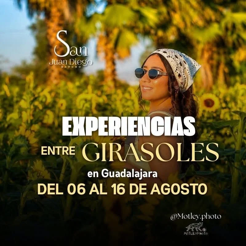 Jalisco’s Rancho San Juan Diego Unveils Annual Sunflower Spectacle: An Immersive Agrotourism Experience for Nature Enthusiasts and Families