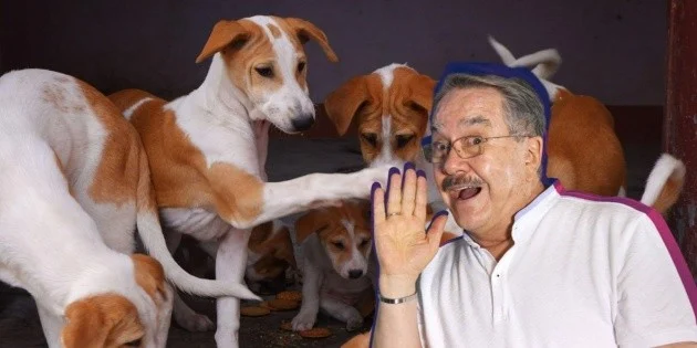 Pedro Sola’s Animal Welfare Visit: A Deep Dive into Media Responsibility, Public Outcry, and Corporate Repercussion