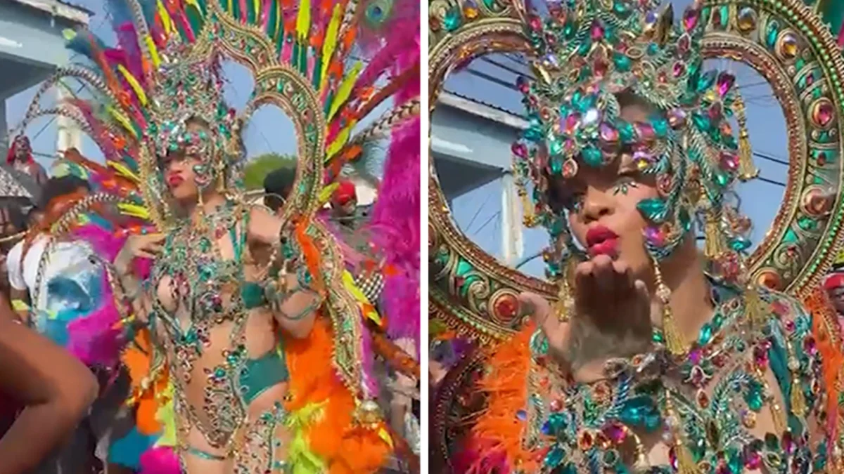 Rihanna Shows Off Curves While Partying Hard at Barbados Carnival.