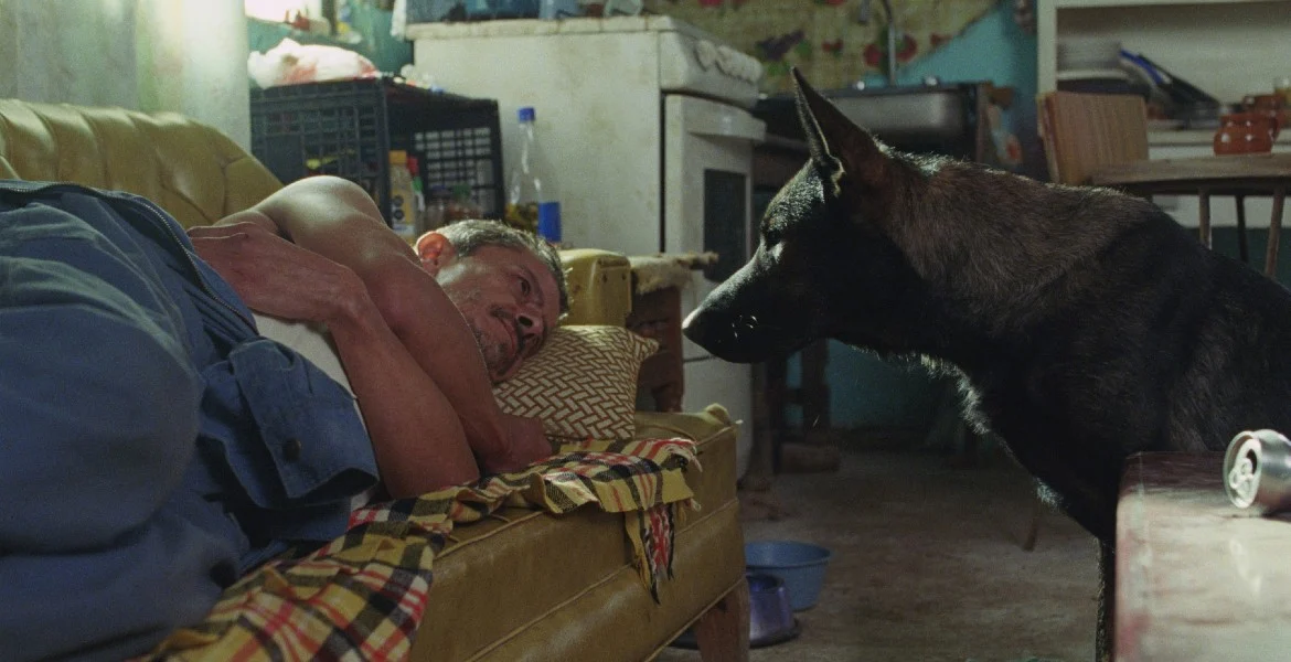San Sebastián International Film Festival Unveils Major Latin American Titles for 74th Edition Official Selection and New Directors Programs