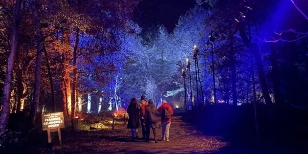 Harry Potter: Forbidden Forest Experience Set to Enchant Mexico City with Immersive Nocturnal Journey